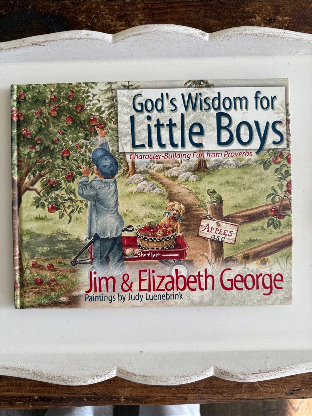 God’s Wisdom For Little Boys: Character Building Fun by Jim and Elizabeth George
